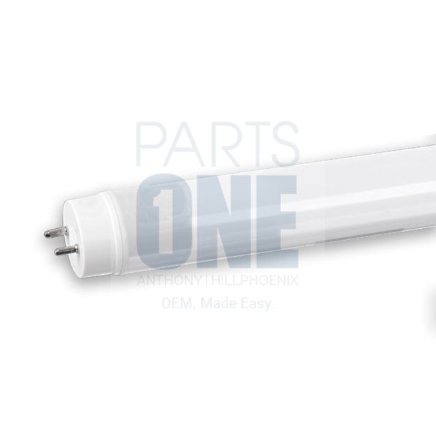 Picture of Fluorescent Lamp - 48"