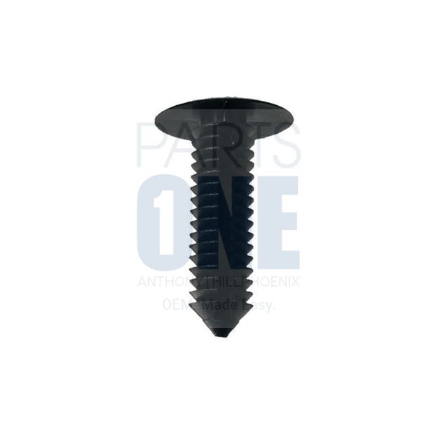 Picture of FASTENER (NON METALIC)