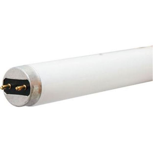 Picture of Fluorescent Lamp